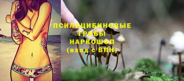 гидропоника Слюдянка