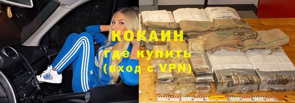 сатива Снежногорск