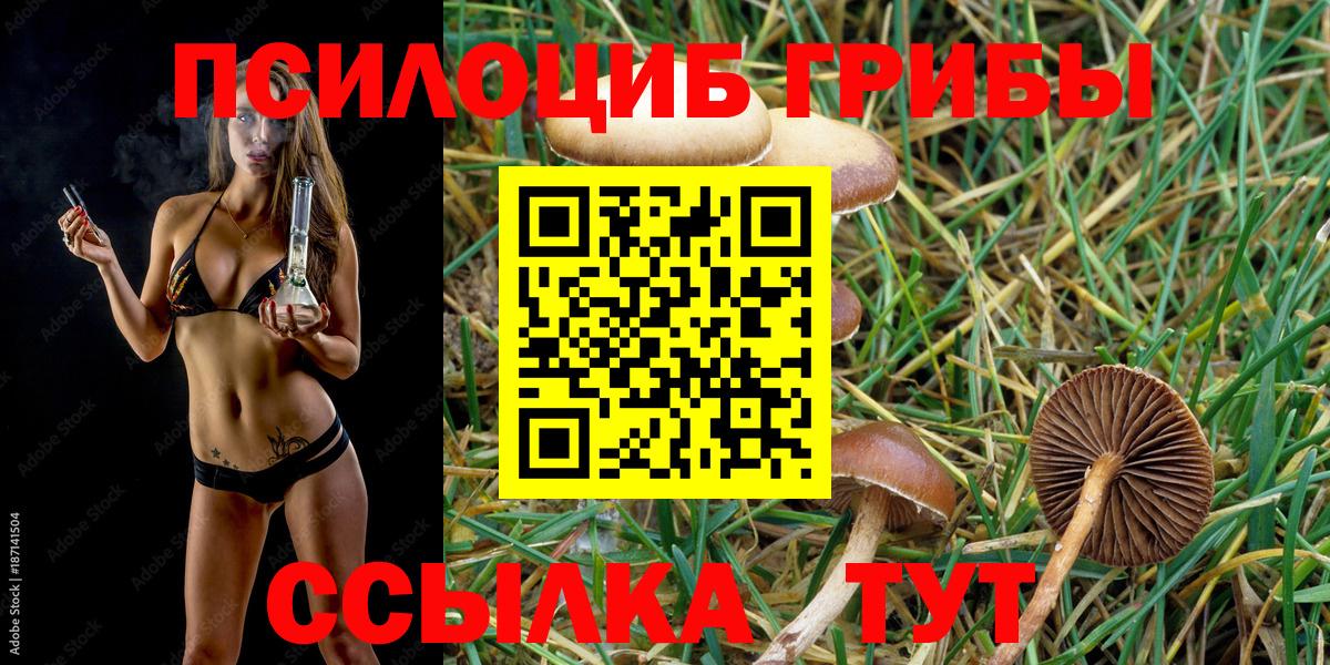 Псилоцибиновые грибы мицелий  Псилоцибиновые грибы мицелий  Славгород 