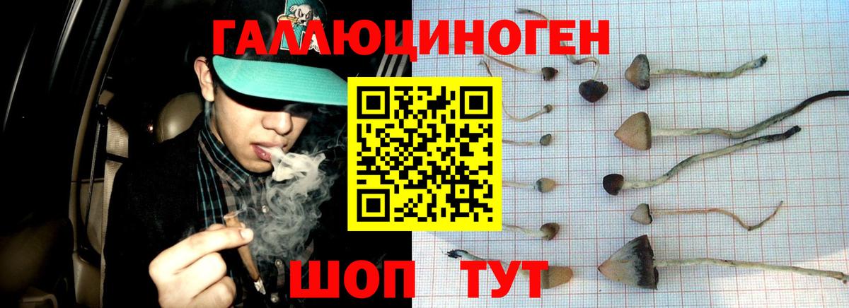 Псилоцибиновые грибы Psilocybine cubensis  Вход с VPN  Славгород  Галлюциногенные грибы Psilocybine cubensis 