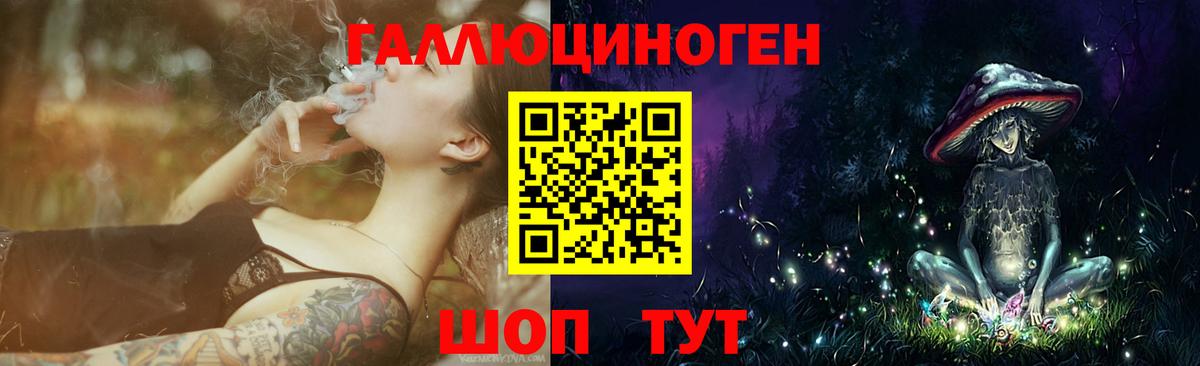 Галлюциногенные грибы Psilocybine cubensis Славгород