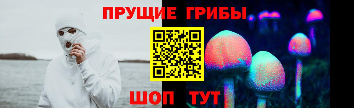 Галлюциногенные грибы ЛСД Славгород